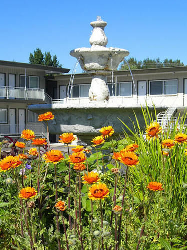 Comox Valley Inn & Suites Courtenay Bagian luar foto